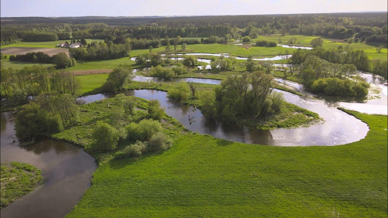 Dzień